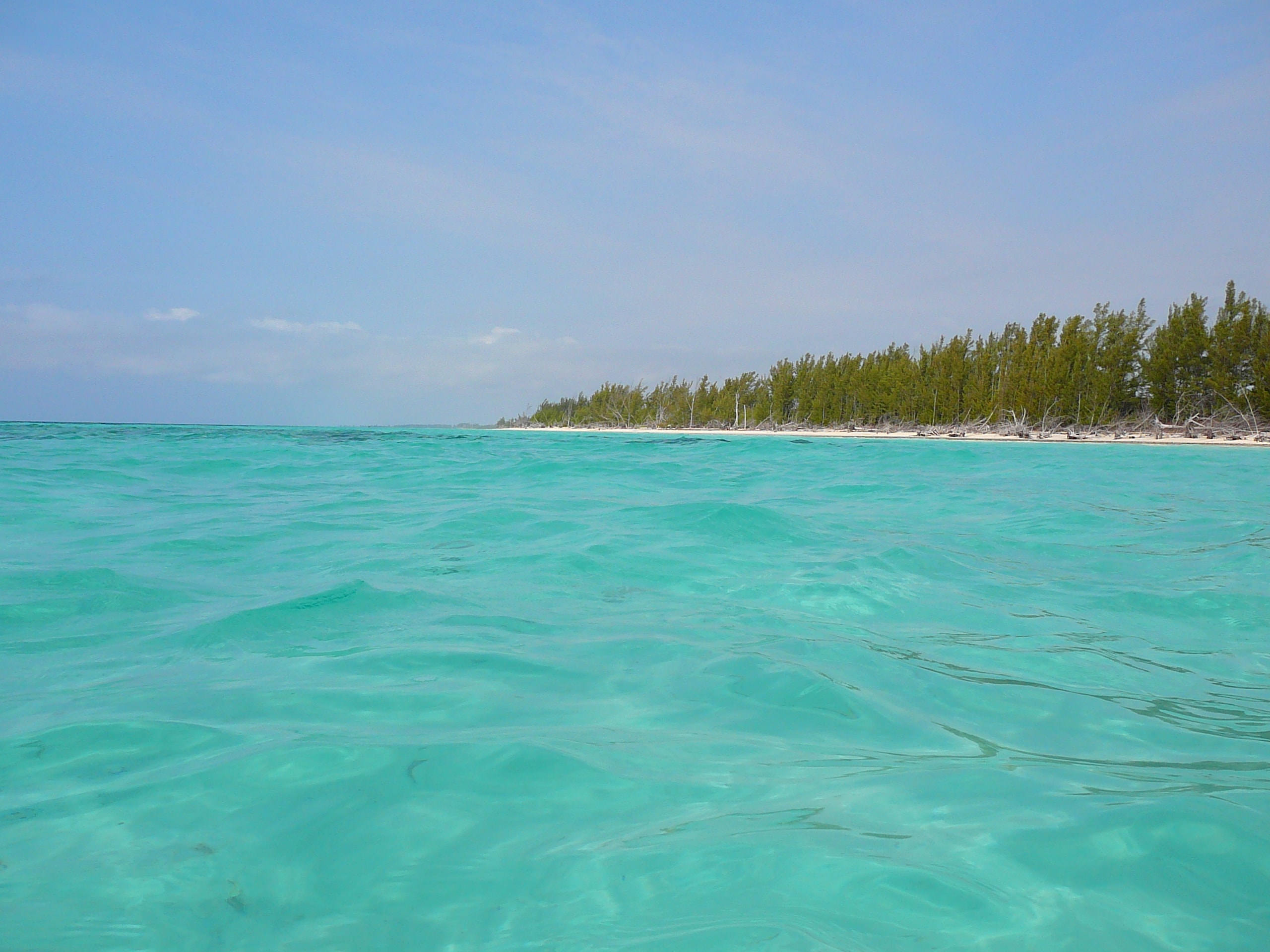 Gold Rock Beach, Grand Bahama Island — turquoise waters and pine-lined shore