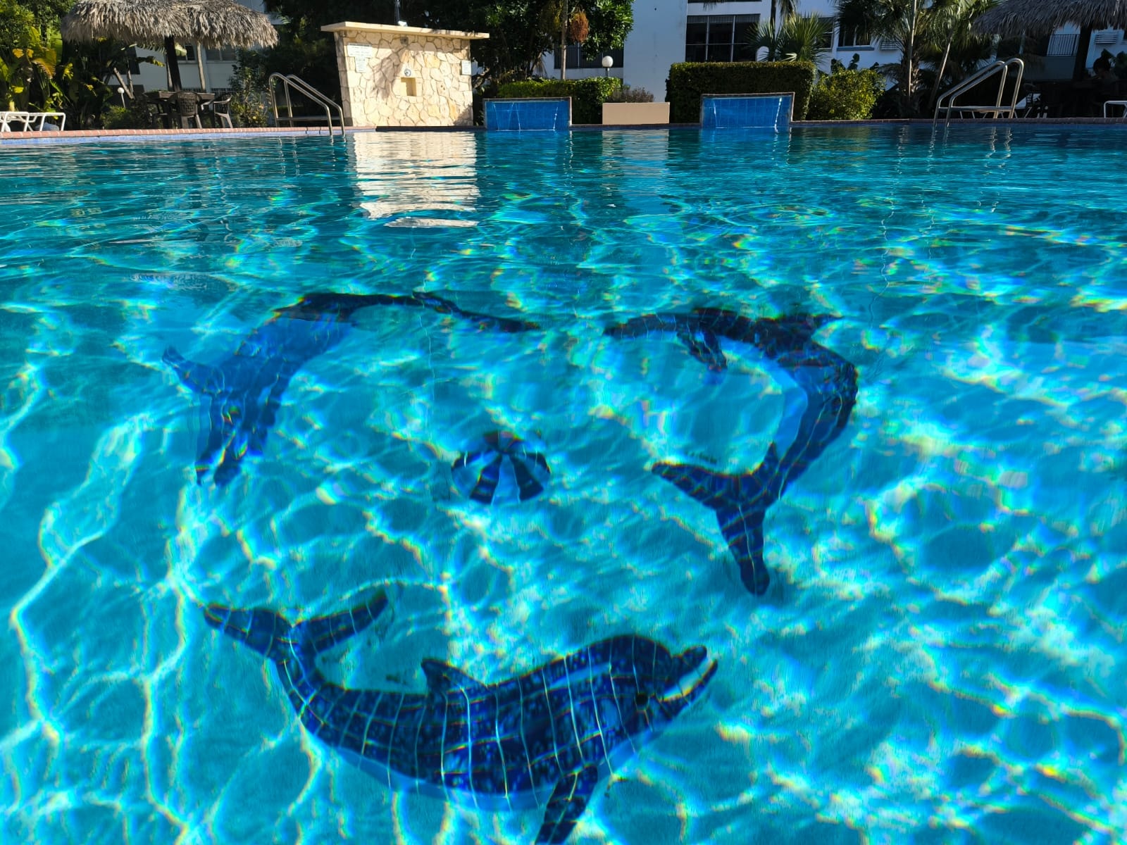 Jansel Court pool with dolphin mosaic tiles